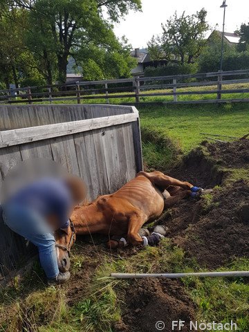 2018-09-04 Tierrettung