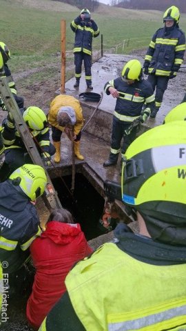 2026-03-26_T1_Tierrettung